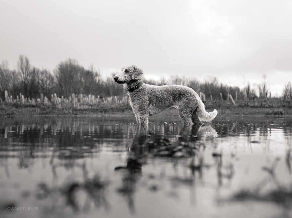 Forgotten Lens – 7artisans 25mm&nbsp;F1.8